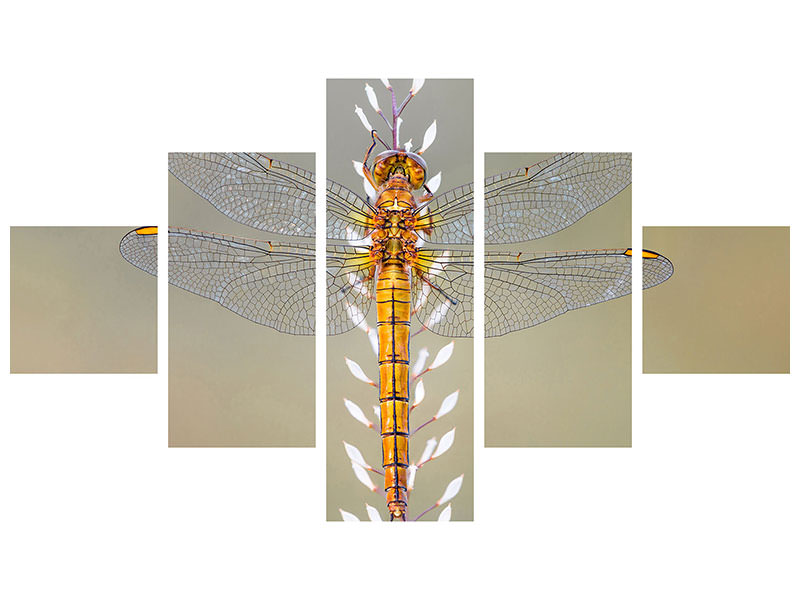 5-piece-canvas-print-dragonfly