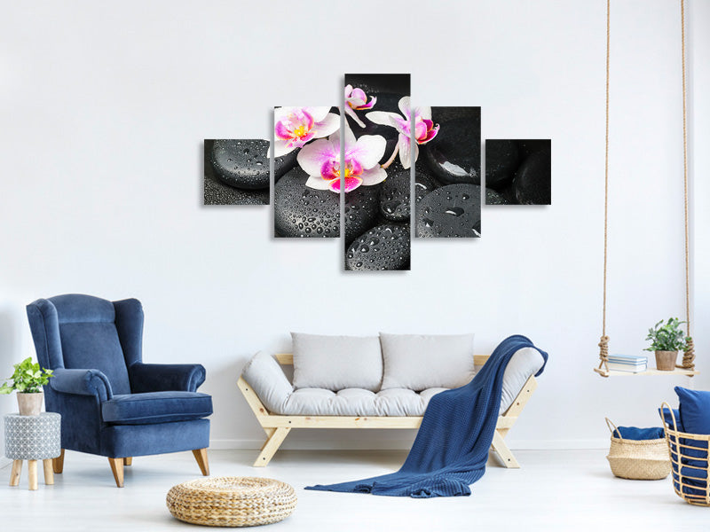 5-piece-canvas-print-feng-shui-orchid-zen