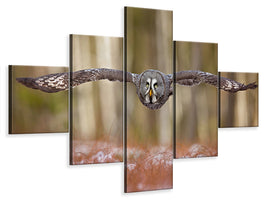 5-piece-canvas-print-great-grey-owl