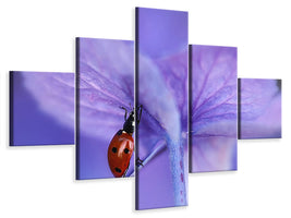 5-piece-canvas-print-ladybird-on-purple-hydrangea