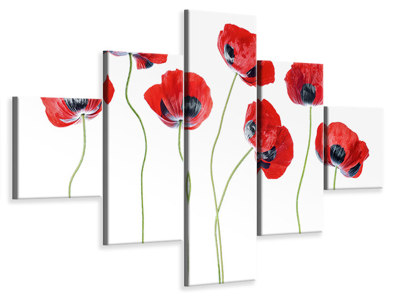 5-piece-canvas-print-ladybird-poppies