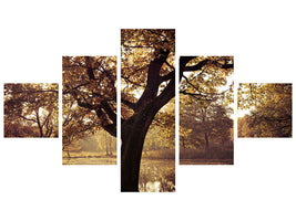 5-piece-canvas-print-landscape-park