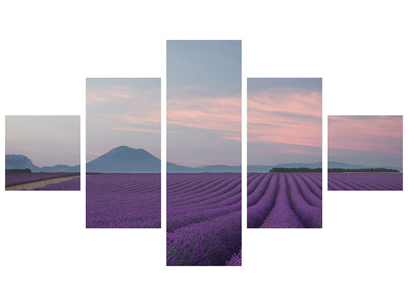 5-piece-canvas-print-lavender-field