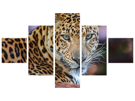 5-piece-canvas-print-leopard