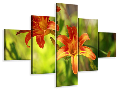 5-piece-canvas-print-lilies-in-nature