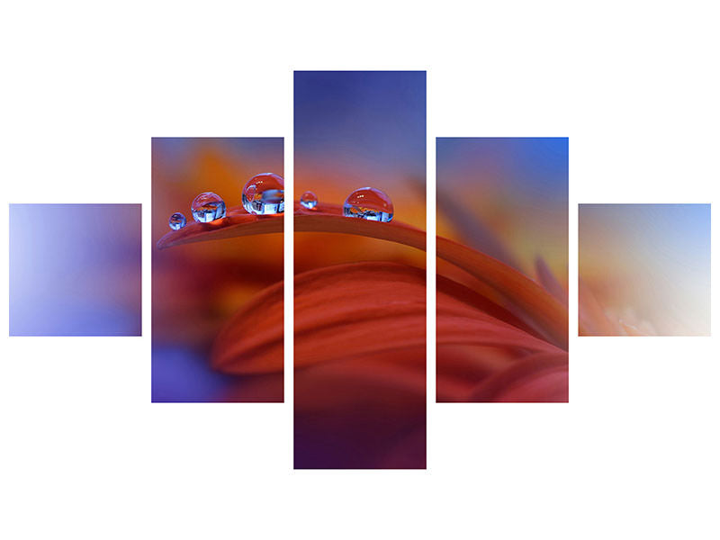 5-piece-canvas-print-metamorphosis