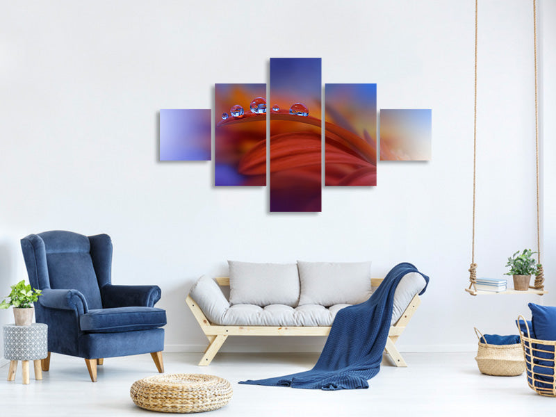 5-piece-canvas-print-metamorphosis