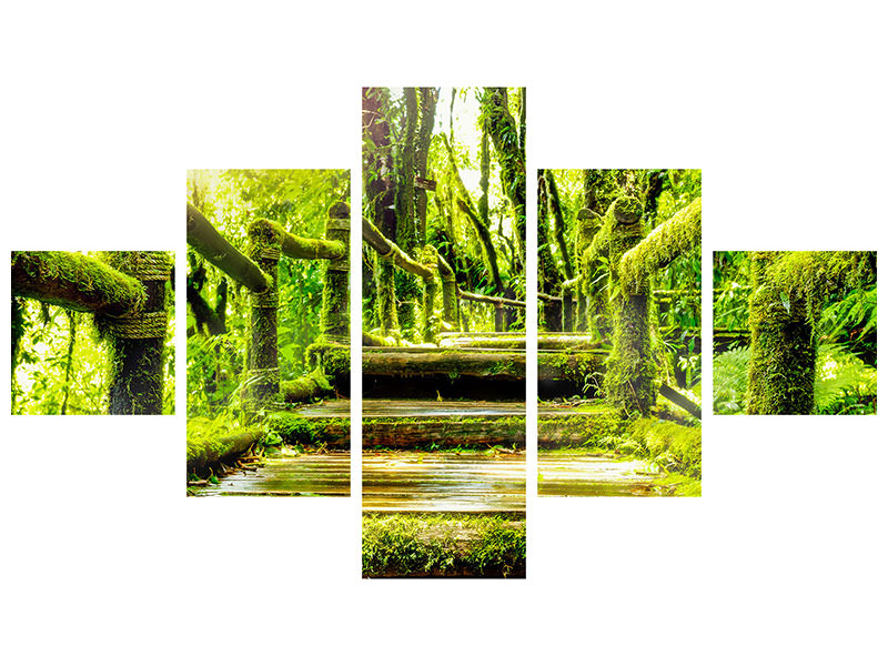 5-piece-canvas-print-moss