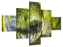 5-piece-canvas-print-nature-ball