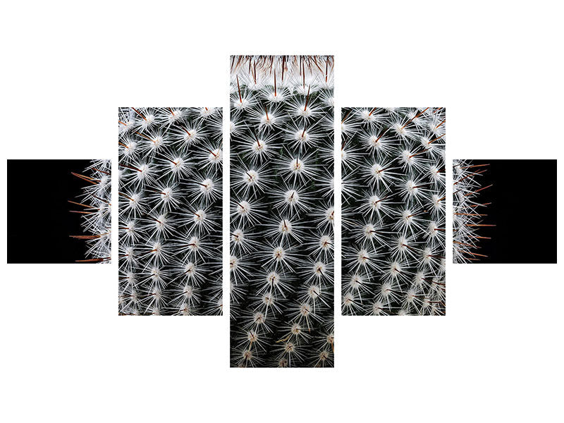 5-piece-canvas-print-notocactus-scopa-ii