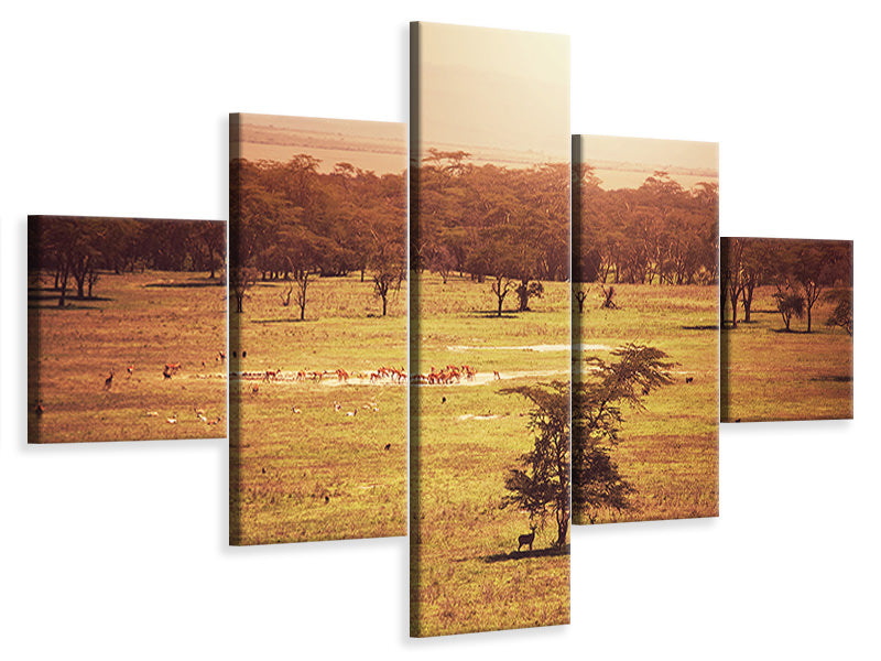 5-piece-canvas-print-picturesque-africa