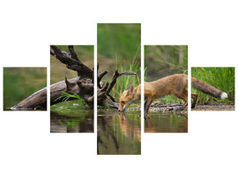 5-piece-canvas-print-red-fox-ii