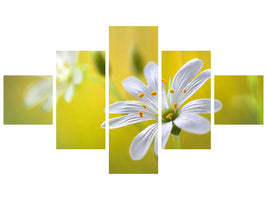 5-piece-canvas-print-stitchwort-ii