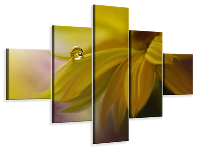 5-piece-canvas-print-sunbeam