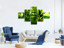 5-piece-canvas-print-sunrise-in-the-rainforest