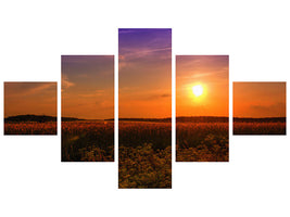 5-piece-canvas-print-sunset-at-the-flower-field