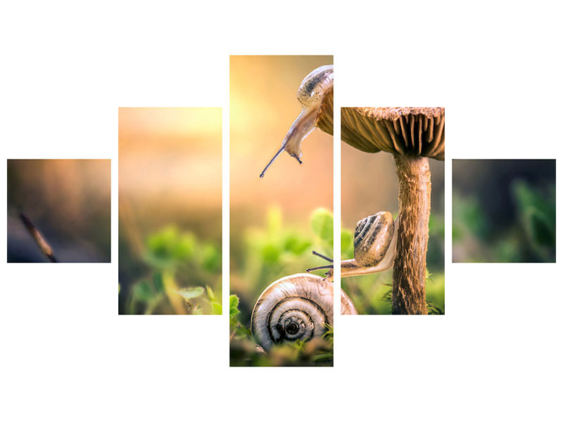 5-piece-canvas-print-the-awakening-of-snails