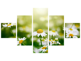 5-piece-canvas-print-the-daisy