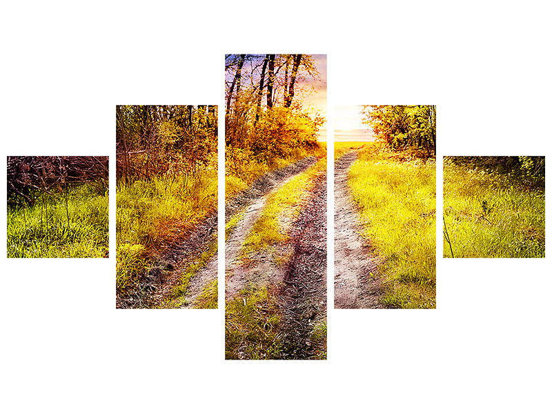 5-piece-canvas-print-the-forest-path