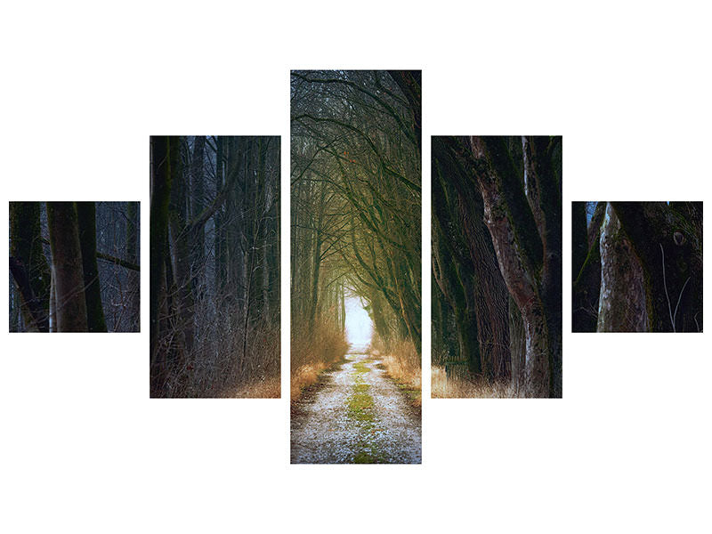 5-piece-canvas-print-the-tree-avenue