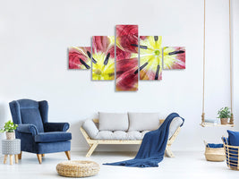 5-piece-canvas-print-tulips