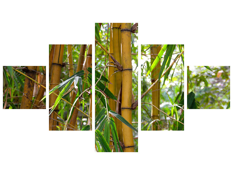 5-piece-canvas-print-wild-bamboo