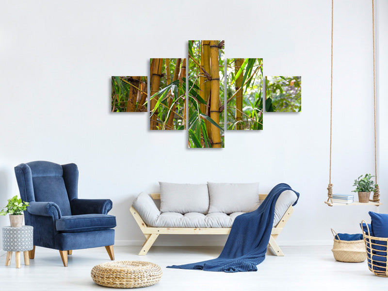 5-piece-canvas-print-wild-bamboo