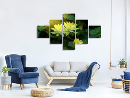 5-piece-canvas-print-wild-lotus