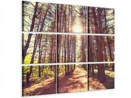 9-piece-canvas-print-light-at-the-end-of-the-forest-path