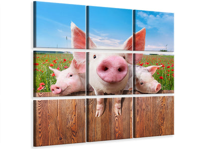 9-piece-canvas-print-pig-in-luck