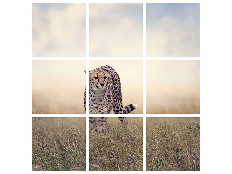 9-piece-canvas-print-the-cheetah