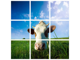 9-piece-canvas-print-the-cow