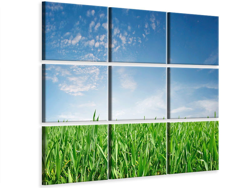 9-piece-canvas-print-the-grass