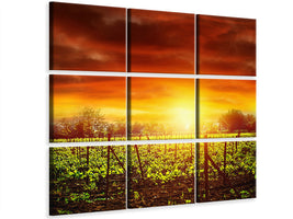 9-piece-canvas-print-the-vineyard-at-sunset