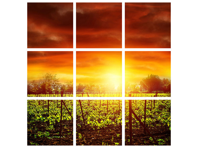 9-piece-canvas-print-the-vineyard-at-sunset