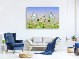 canvas-print-2-butterflies