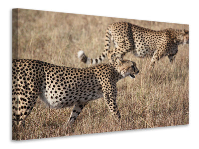 canvas-print-2-leopards