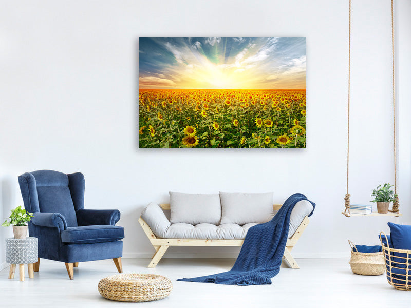 canvas-print-a-field-full-of-sunflowers