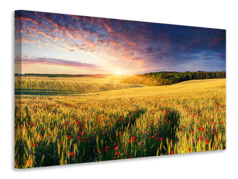 canvas-print-a-flower-field-at-sunrise