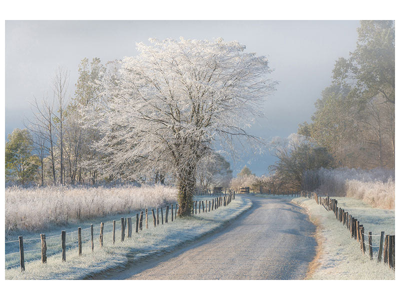 canvas-print-a-frosty-morning