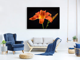 canvas-print-a-lily-flower-in-orange