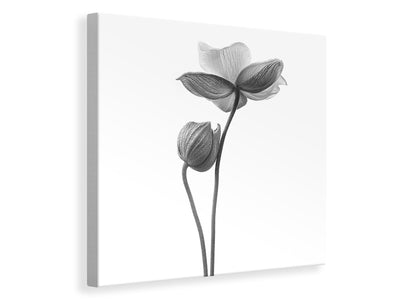 canvas-print-a-little-touch-monochrome