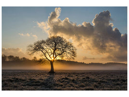 canvas-print-a-lonely-tree