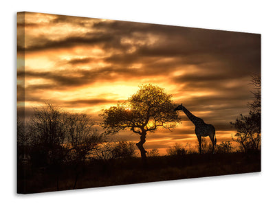 canvas-print-african-dreams