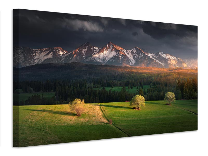 canvas-print-after-storm-x