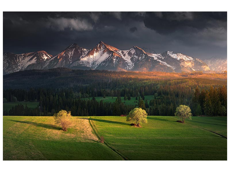 canvas-print-after-storm-x