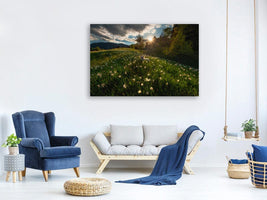 canvas-print-among-the-daffodils-x