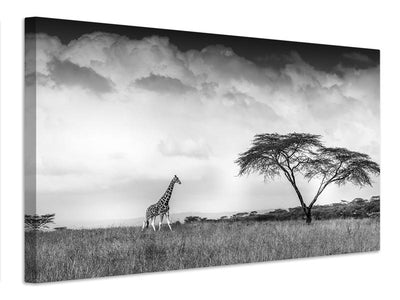 canvas-print-and-i-dreamed-of-africa-x