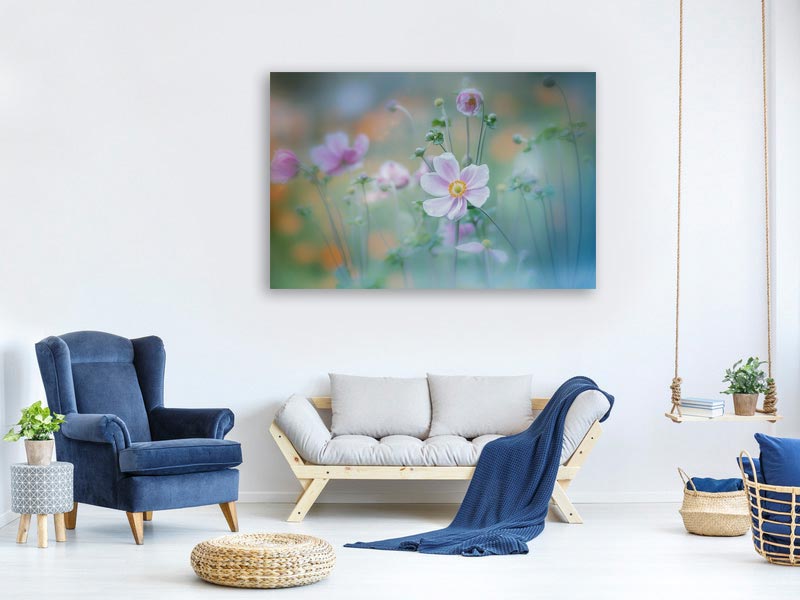 canvas-print-anemone-x