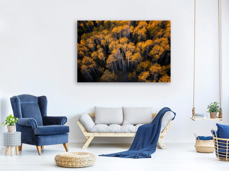 canvas-print-aspen-in-autumn-x